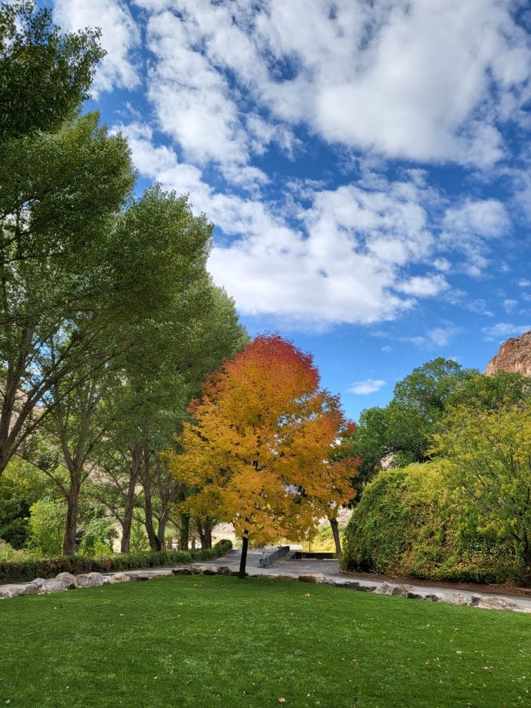Kershaw-Ryan State Park Fall Color